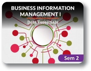  Business Information Management Semester 2: Data Essentials